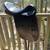 Smith Worthington gorgeous English saddle 2 thumbnail