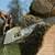 Bay Area Builders Inc. License #1127845 Tree Services 5 thumbnail