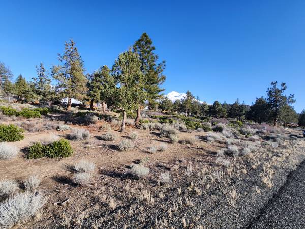 $5,200 Lot in Lake Shastina with Mount Shasta View (Lake Shastina)63678201111555121