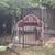 CHICKEN COOP 2 thumbnail