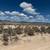 10 ACRES E-1540-0006-0000 **Pending** 6 thumbnail