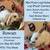 Mini Plush Lop/Holland Lop, Lionlop/Holland, and Mini Rex Rabbits 1 thumbnail