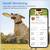 GPS Pet Tracker for Dogs and Cats 6 thumbnail