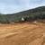 Dozer Grading/Fire break/weed and grass clearing 5 thumbnail