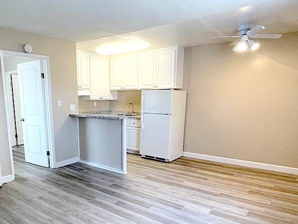 $2,050 / 1br - 453ft2 - 1/BD apt | Generous bedroom closet | Modern kitchen | Wood-style floor (san jose downtown)63946805439619121