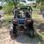 Buggy 3 thumbnail