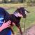 Dapple Billy Boer goat 2 thumbnail