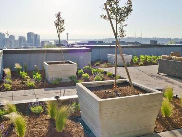 $3,400 / 2br - 844ft2 - Live Modern! Sleek 2x2 in Cap Hill with Rooftop Views  $1500 Off! (Capitol Hill)63934548847746124
