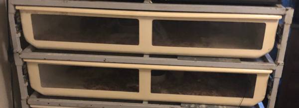 4x2 freedom Breeder rack 1