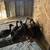 Guinea keets 5 thumbnail