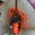 Black and Decker 22” Hedge Trimmer 3 thumbnail