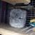 RPA Chinchilla 3 thumbnail