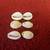 Costume Jewelry Shells 1 thumbnail