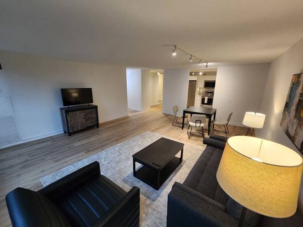 $3,000 / 2br - 1300ft2 - spacious 2 bed, 2 bath has amazing views (Chicago)63918533472514120