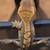 Baby crested gecko 3 thumbnail