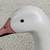 Ross Snow Goose - Decorative 1 thumbnail