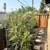 House with Private Yard and Parking 3 thumbnail