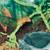 Crested Geckos 2 thumbnail