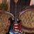 Guitar vocalists country blues, slide guitar, blues, covers 6 thumbnail