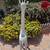 5ft GIRAFFE Vtg "Hollywood Regency" white Wicker Rattan Planter Statue Sculpture 3 thumbnail