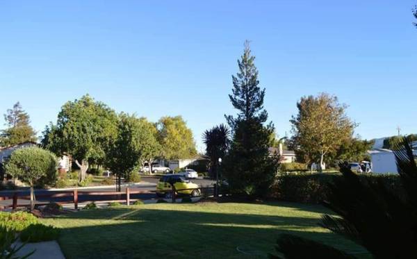 $870 / 1br - Room for rent in Campbell (campbell)63933766969347121