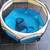 Cat Playpen Pet Playpen with Carrying Case Portable Pet Tent for Indoo 1 thumbnail