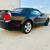 2007 Ford Mustang GT Premium Convertible 2D ONE OWNER SUPER CLEAN 2 thumbnail