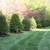 EVERGREEN SCREENING. HEDGES, PRICACY WALLS ETC 3 thumbnail