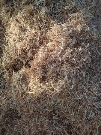 OFERTA DE VERANO / MADERA DURA PARA CAMPING, BARBACOA Y AHUMADO - $65 (Boise)63471412610433124