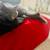 Grey British Short Hair Cat 2 thumbnail