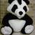 Giant Panda 1 thumbnail