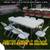 party rentals. tables. chairs. Rento mesas. sillas. manteleria. y mas 2 thumbnail