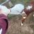 Bottle Calf 2 thumbnail