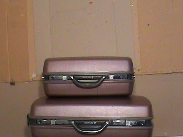 Two Luggages 1