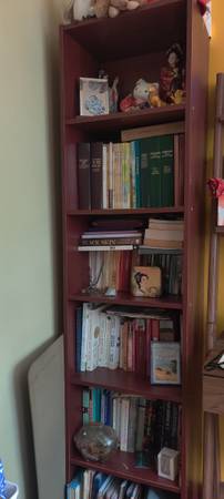 Bookshelf 1