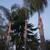 Ramirez the green landscaping maintenance n san diego areas 15 thumbnail