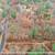 Vacant Duplex Lot in Waterfront Condo Community 1 thumbnail