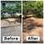 🌳 STUMP REMOVAL & GRINDING – FREE ESTIMATES – ORLANDO 📍 9 thumbnail