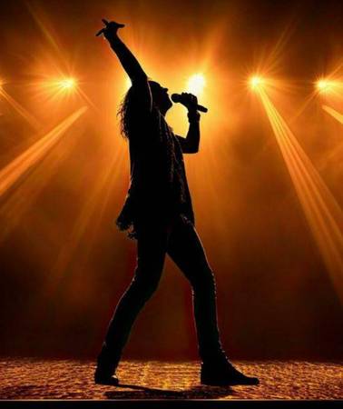 Vocalist with Stage Presence Seeks Dance / Rock Cover Band 1