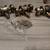 three entry door knobs keyed alike 3 thumbnail