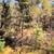 10 Wooded Acres Near Wisconsin Dells 21 thumbnail