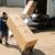 BOOK MOVERS TODAY & GET FREE BINS - NO BOXES📦 !! (626) 316-3439 2 thumbnail