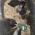 Chickens 2 thumbnail