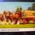 Early 1900s BUDWEISER/Clydesdales Full Foldout Postcard 5 thumbnail