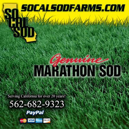 SOCAL SOD FARMS - MARATHON FESCUE SOD ▀  ▄ 1