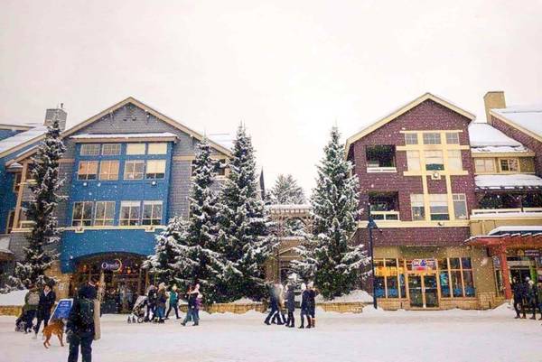 $2,500 / 2br - Christmas Week in Whistler Village - Dec 19-26 (Whistler)64208413555201120