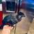White cheeked turaco baby…. parrot ,parrots 1 thumbnail
