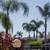 Close to Coffee shops & Grocery stores! 2 thumbnail