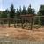 Specialty Lumber Yard- Western Red Cedar 22 thumbnail