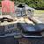 1969 corvette project 10 thumbnail